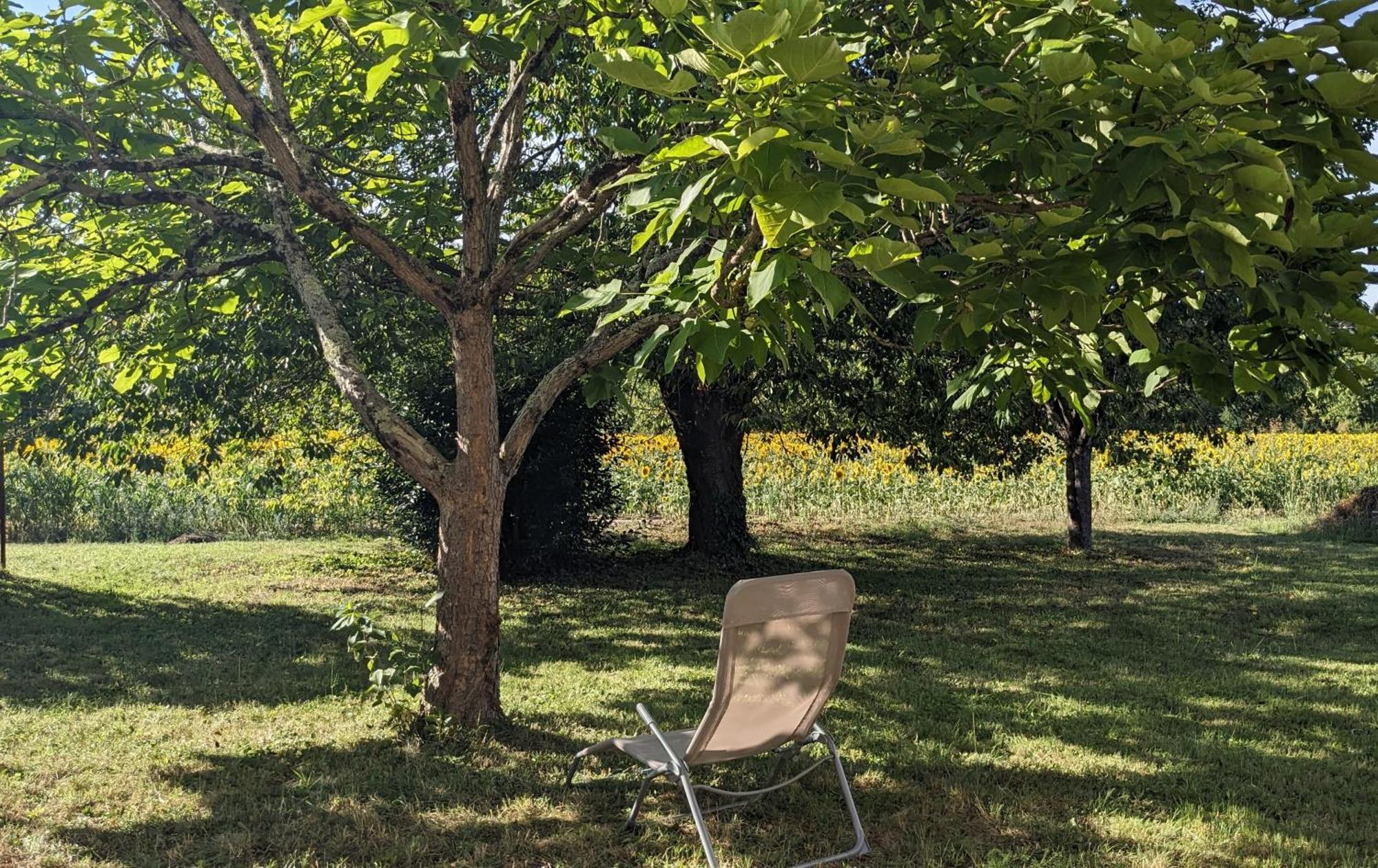 Maison Au Calme En Dordogne Tremolat Ngoại thất bức ảnh